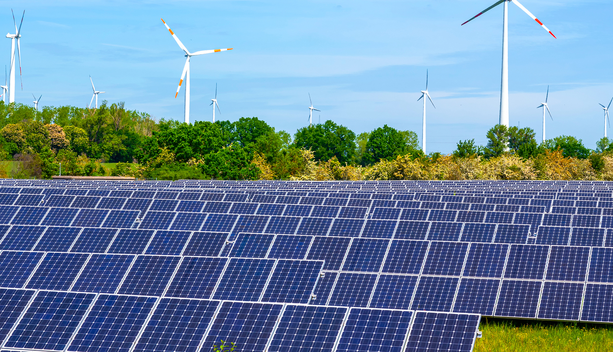 Solar panels and wind turbines in a green landscape under a clear sky.